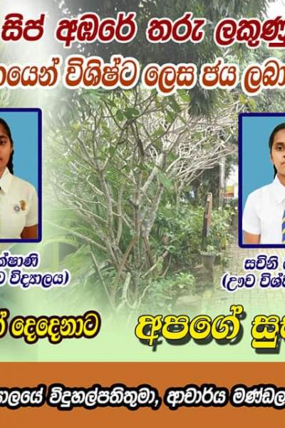 131114972 3836953229661802 1474073306259796482 O