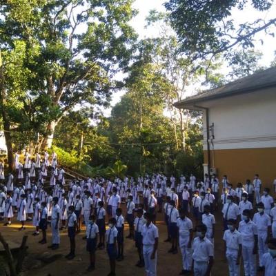 145264127 3965011143522676 3126639543663007739 N