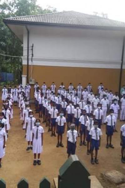 146874502 3979995182024272 8158481573552703773 N